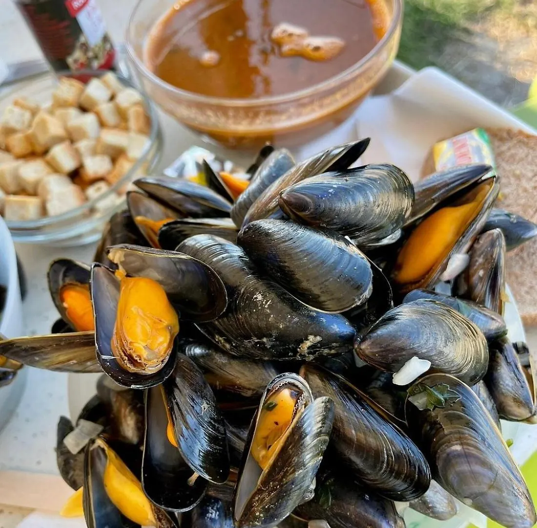 Brise Marine Villa Le Vivier-sur-Mer 0*,
